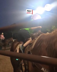 364K views · 2.7K reactions | This little cowboy saw his chance and took it! 鸞 | Lessons Learned In Life | Facebook