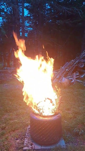 First campfire 2026. Love the crackling