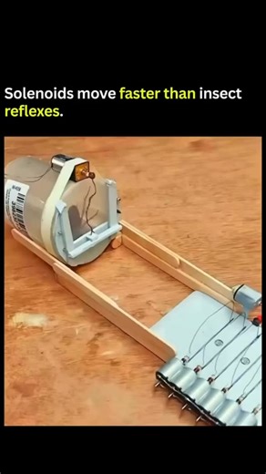 globalreel.oi on Instagram: "essentialaidaily This robot was built to punish a specific victim. A homemade sensor rig waits for movement. The device sits quietly on a wooden table with popsicle stick rails guiding the path. Suddenly a large cockroach runs straight into the corridor. It triggers a motion sensor hidden inside the white housing. A servo motor instantly activates and drops a plastic gate to pin the insect in place. A red LED lights up on the breadboard to confirm the capture. Then t