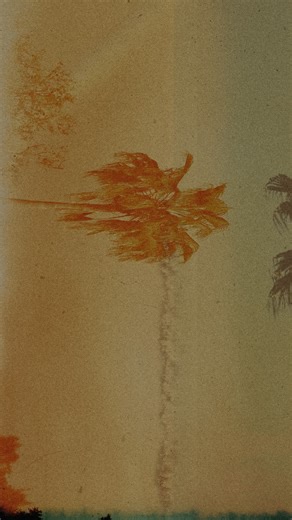 Ain Raadik on Instagram: "Life in the tropics.  Locations include; the Cook Islands, French Polynesia, Australia, Vanuatu & Costa Rica. Captured on a combination of 8mm film & digital cameras. #travel #cookislands #ocean #tropical #rarotonga #freedom #summer #island"