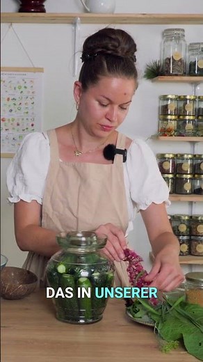 Gurken Fermentieren & Haltbar machen wie früher! #slowliving #fermentieren #fermentation #veggies
