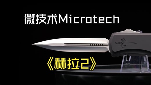 微技术Microtech 赫拉2