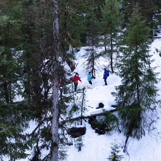 Great news, snowshoe lovers! Our Nordic Centre will be open for snowshoe rentals this weekend: Saturday, Dec. 6th & Sunday, Dec. 7th ⏰ 8:00am – 4:00pm There is lots of beautiful fresh snow, so come soak up the winter beauty and hit the trails. Top 3 recommended scenic trails: ❄️ Lightning Lake Loop ❄️ Canyon Nature Trail (featured) ❄️ Similkameen Trail Our Nordic team can’t wait to see you out there... Please Note: drone use is prohibited without prior consent #Snowshoeing #WinterTrails #Manning