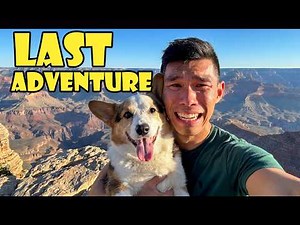 Showing My CORGI the Grand Canyon Before It's Too Late || Life After College: Ep. 828