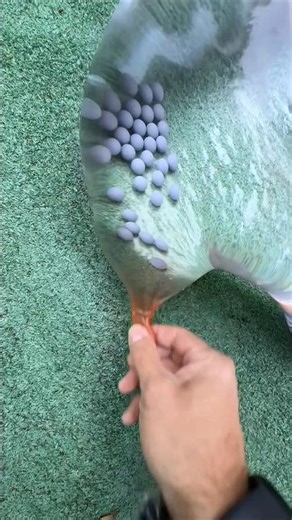 Satisfying Inflating & Pop 💥