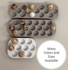Custom Coturnix Quail Egg Tray | Farmhouse 3d-printed Egg Holder L Fresh Egg Storage Refrigerator | Made in USA - Etsy