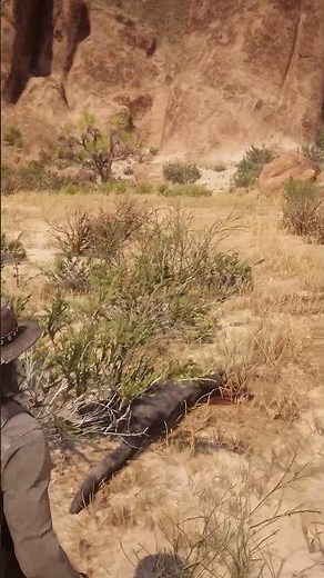 Hunting Legendary Cougar Red Dead Redemption 2 4K 60 FPS #cougar #legendarycougar #cougarattack #4k