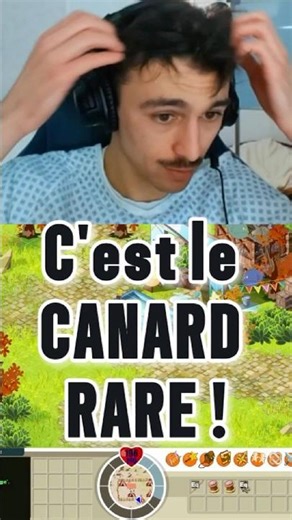 C'est le CANARD RARE ! sur DOFUS RETRO