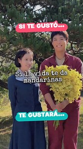 K-Dramas que tienes que ver si te gustó “Si la vida te da mandarinas” 💕🎬 #WhenLifeGivesYouTangerines #ParkBoGum #IU #kdrama #dramascoreanos | Drama Reports