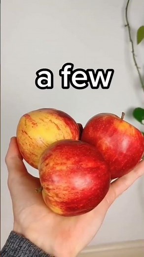 Grammar :- a couple , a few , several , many