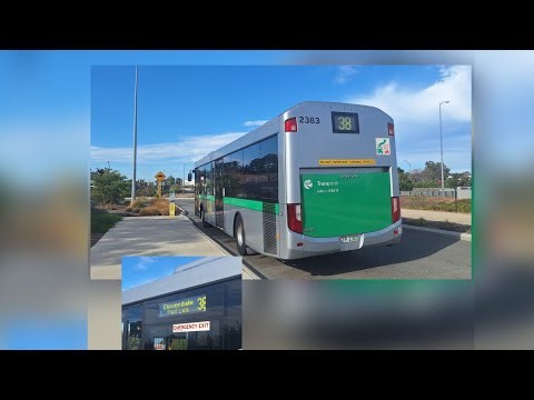 [Kinda Replacement?] Transperth Bus Route No. 38 (TP2383) Perth Busport to Cloverdale (Plane Lane)