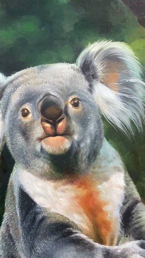 Hyper-Realistic Wildlife Painting: How Soothing Is This Koala? #animalart #painting