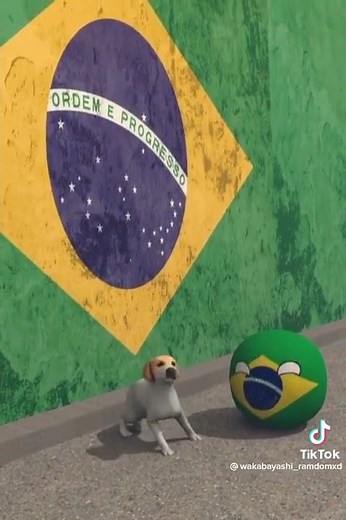 meme del perro del Brasil 😂😂😂😂😂😂😂
