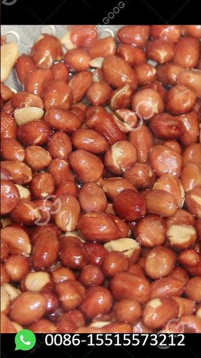 Groundnut Frying Machine Process of Frying Groundnut