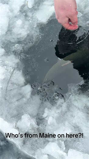 Huge Maine Brookie Caught On Thin Ice
