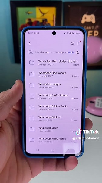 Dicas e Truques para Usar a Lixeira do WhatsApp no Android