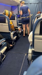 450K views · 3.7K reactions | Man caught filming flight attendant on plane In this scene a man was caught filming a flight attendant on a plane inappropriately. He was arrested and escorted off the plane. In this short film. | Animal Stories | Facebook