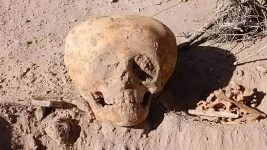 Disturbing alien-like skull belonging to 'archaic' human stuns experts