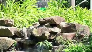 Solar Powered Fountain Pump for Bird Bath, Garden, Pond & Outdoor Decor - 7 Nozzles, 4 Fixers, Colorful LED Lights, Upgraded Glass Panel, Small Water Fountain for Fish Tank & Swimming Pool