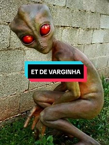 O MISTERIOSO CASO DO ET DE VARGINHA — o episódio que marcou a ufologia brasileira Em janeiro de 1996, moradores de Varginha, em Minas Gerais, afirmaram ter visto uma criatura incomum pelas ruas da cidade. O caso ganhou repercussão nacional após relatos de testemunhas, supostas movimentações militares e diversas versões sobre o que teria acontecido. Até hoje, o episódio divide opiniões: enquanto alguns acreditam que houve contato com um ser extraterrestre, as autoridades afirmam que não há evidên