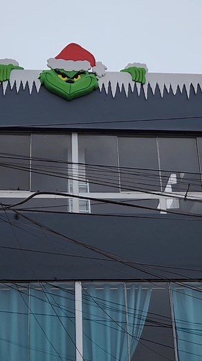 Decoración Navideña del Grinch con Nieve | Merly's Comics and Food
