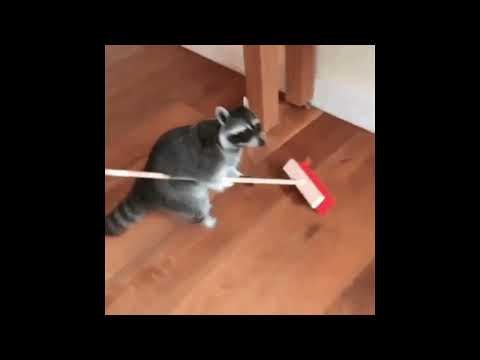 노동요 (feat.청소송)