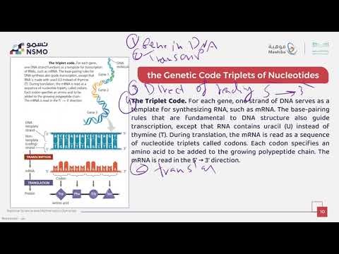 NSMO Olympiad -Biology- Lesson 17 Genetic Codes Codons
