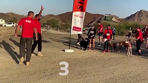 The first-ever HK9 canicross race is held in the UAE, bringing dogs and owners together for an adventurous sport in the mountain desert | Reuters