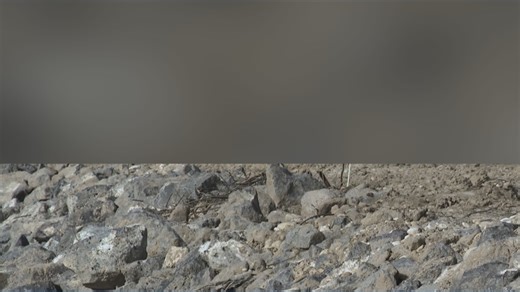 Bank stabilization along the Boise River