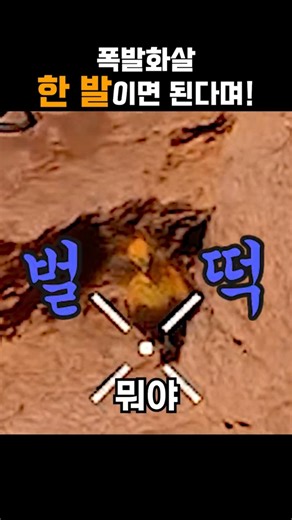 폭발화살 한 발이면 피닉스 잡는다며!