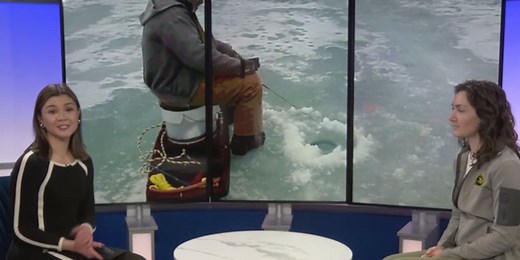 Mid-Michigan Matters: DNR’s free fishing weekend