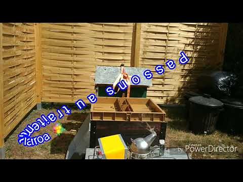 Beekeeping: How to treat Varroa mites and monitor bee reserves