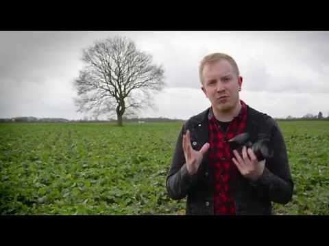 Photography tips - How to shoot a silhouette using auto exposure lock