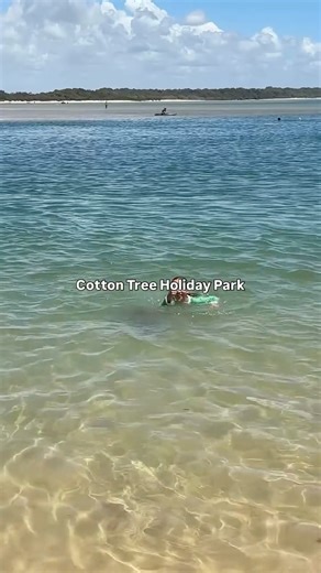 The ultimate family holiday spot – kids love it, parents do too! 🌴💛 #explore #explorepage #cottontreeholidaypark #fun #travel | Cotton Tree Holiday Park