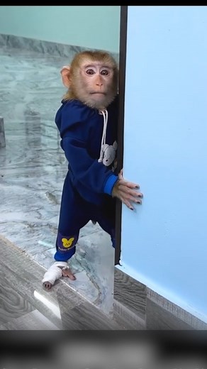 91K views · 2K reactions | Monkey Hair Red wants to help her Mom even...