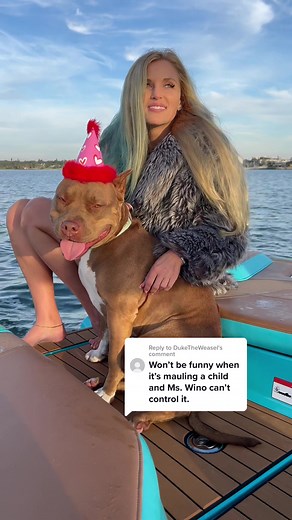 Replying to @DukeTheWeasel Too bad she loves kids and other animals ♥️ #pitty #americanbully #dog