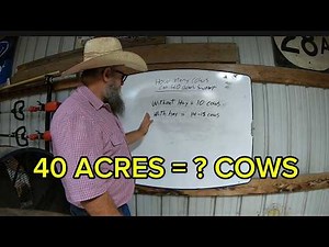 How Many Cows Can 40 Acres Support? (Stocking Rate Explained)