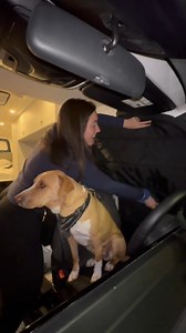 How I Live at a Highway Rest Stop after 7 Years of Traveling 😉 #vanlifers #roadtrips #traveltips | Nikki Delventhal