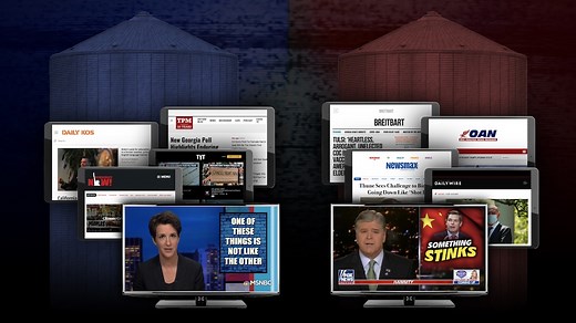 Why is the U.S. so politically polarized? A neuroscientist and political scientist explain why.