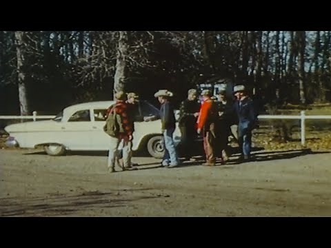 Pheasant Land USA. VIntage South Dakota pheasant hunting. Full video