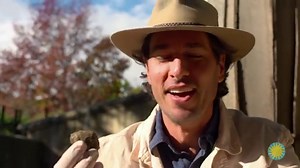 What can you learn from studying an animal’s scat?