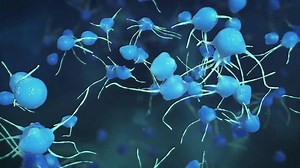 软骨细胞增殖和分化的3D医学动画 库存影片视频（100% 免版税）3651688357 | Shutterstock