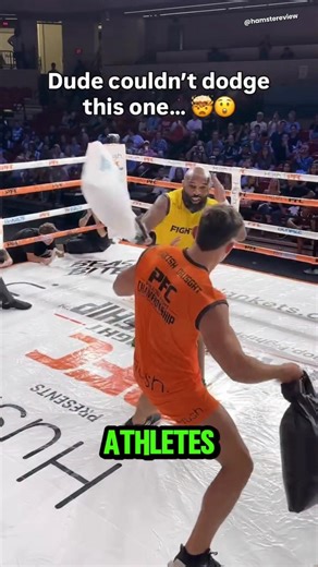 You’ll Never Look at Pillow Fights the Same Way Again! #pillowfight #pillow #shorts