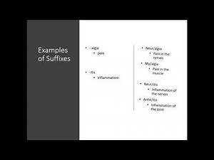 Medical Terminology Basics Part 1
