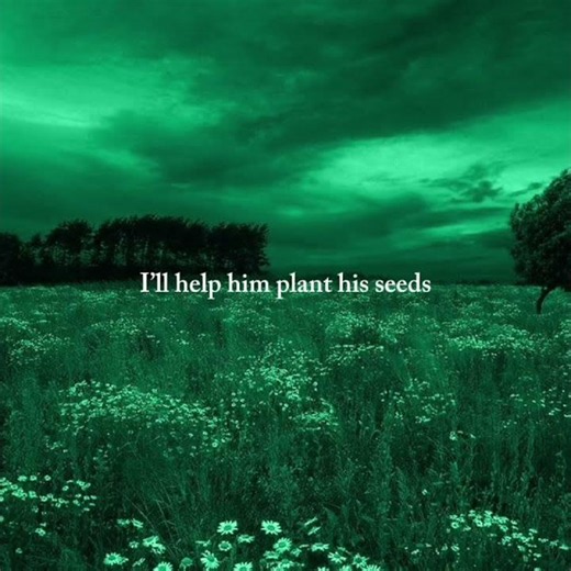 Lemon Boy - CaveTown (lyrics)