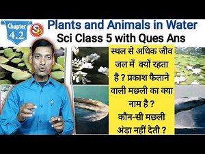 Plants And Animals In Water Ch 4.2 Science Class 5 with Ques Ans Sarswati Shishu Vidya Mandir
