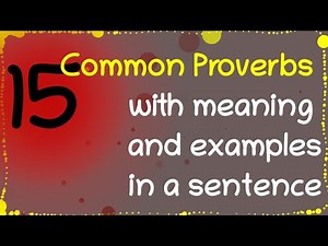15 Common Proverbs with Meaning and Examples