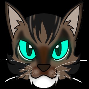 Nami_wow - Twitch