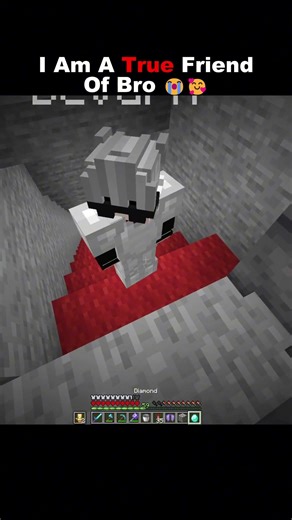 I Am A True Friend Of Bro 😭🥰 #minecraft
