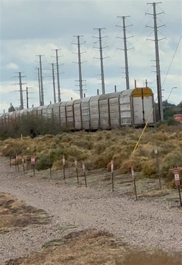 Another double whammy!(Part 2) #railfansoftiktok #railfan #railroadcrossing #train #unionpacific